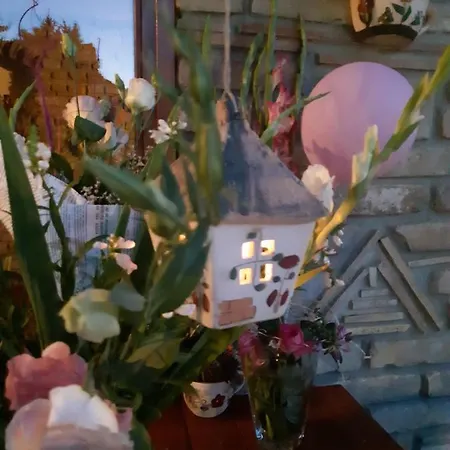 Ilkicev Kucerak Apartment