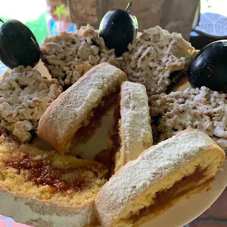 Apartment Ilkicev Kucerak *