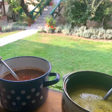 Ilkicev Kucerak Vrdnik