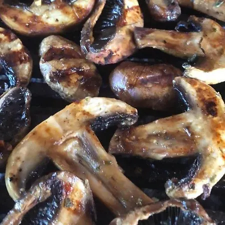 Apartment Ilkicev Kucerak