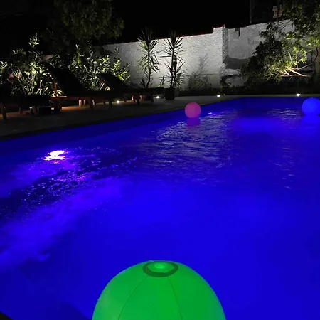 Ilkicev Kucerak * Vrdnik