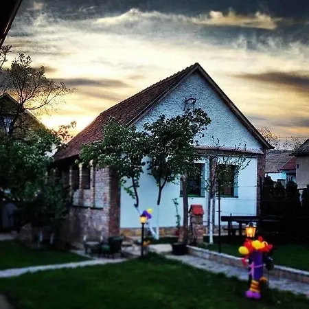 Ilkicev Kucerak Apartment Vrdnik