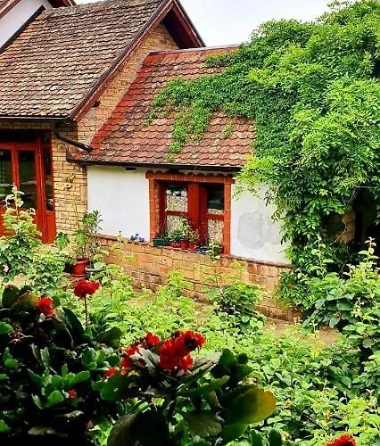 Ilkicev Kucerak 아파트 *