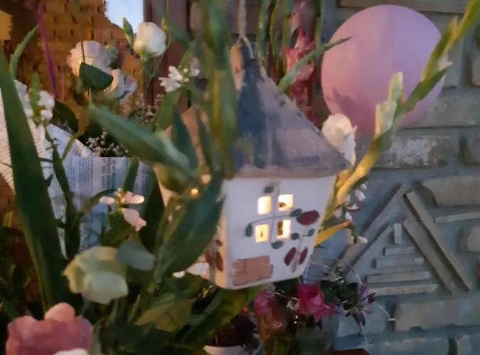 Ilkicev Kucerak 아파트