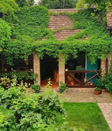 Ilkicev Kucerak 브르드니크