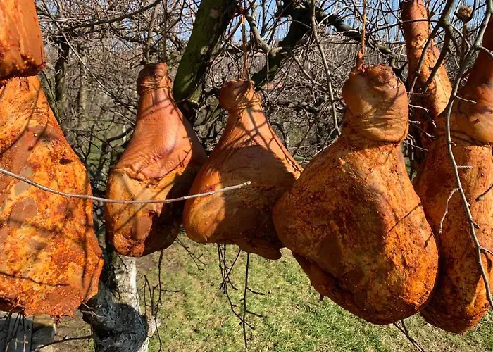 Ilkicev Kucerak * 브르드니크