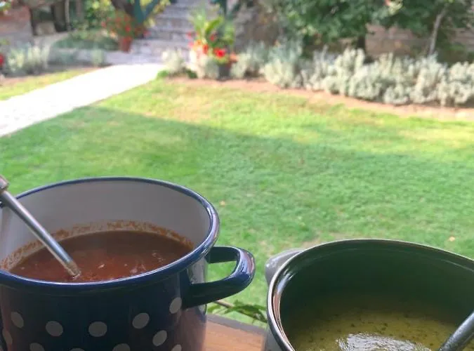 Ilkicev Kucerak 브르드니크