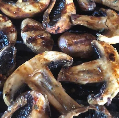 아파트 Ilkicev Kucerak